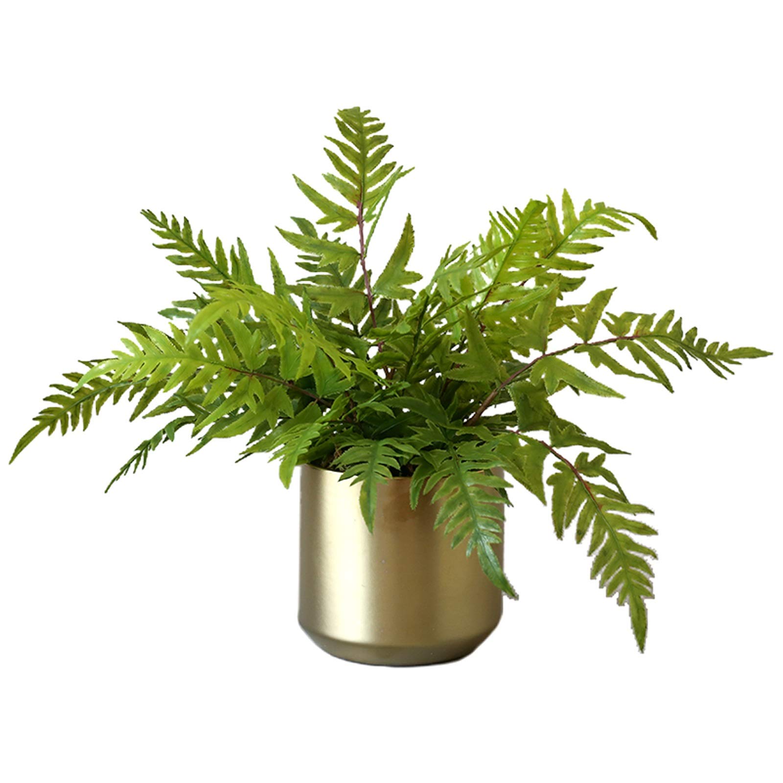 Amazon｜人工鉢植えミニ植物人工シダ鉢植え小さな観葉植物家の装飾